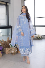 ANIKA-F25-22