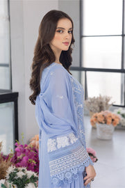 ANIKA-F25-22